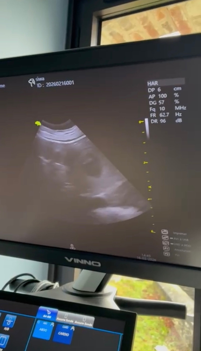 Gestation confirmée